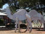 Norseman Tin Camels